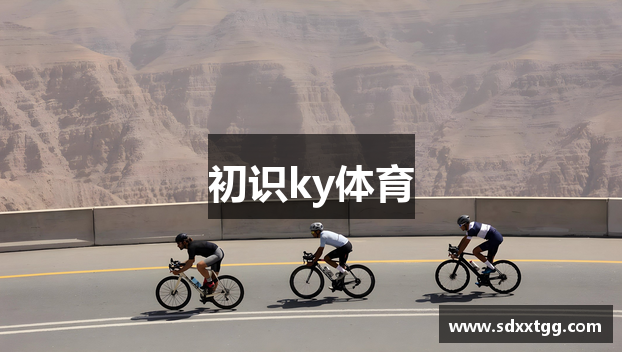 开云体育真人投注的魅力与规则